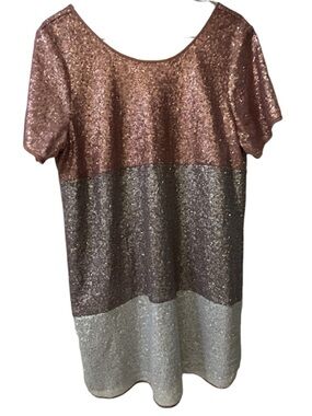 Shop the Mint Sequin Color block Dress Rose Gold Silver Small Boutique